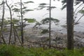 Rainy weathe at norther coastline Royalty Free Stock Photo