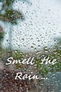 Rainy weather background with text `Smell the rain...` Royalty Free Stock Photo