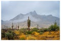 Rainy Weather in the Central Arizona Desert, America, USA. Royalty Free Stock Photo