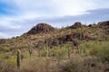 Rainy Weather in the Central Arizona Desert, America, USA. Royalty Free Stock Photo