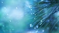 Rainy weather concept background. Beautiful pine needle with water drops. Artistic blue toning, macro forest landscape