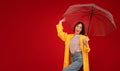 Rainy weather concept. Overjoyed young lady standing under transparent umbrella over red background, panorama Royalty Free Stock Photo