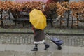 RAINY WEATHER COPENHAGEN Royalty Free Stock Photo