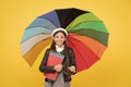 rainy weather forecast. back to school. vivid rain protection. happy girl in glasses hold notebook Royalty Free Stock Photo