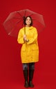 Rainy weather. Full length portrait of woman in autumn clothes and boots, standing under umbrella over red background Royalty Free Stock Photo