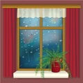 Rainy window with curtains and flower