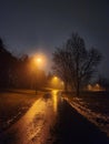 A Rainy Winter Stroll in the Park at Night Royalty Free Stock Photo