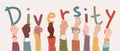 Raised arms of a group of diverse multi-ethnic multicultural people holding the letters forming the word -Diversity- in their hand