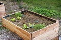 raised bed with freshly planted young vegetables and organic mulch in a permaculture garden