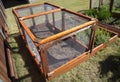 Garden enclosure to protect from small animals