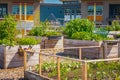 Raised-bed gardening, garden with a wooden raised-bed planted with vegetables and lettuce Royalty Free Stock Photo