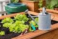 A raised bed with gardening tools and a watering can Royalty Free Stock Photo