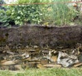 Raised bed, Herbs, Vegetables, Cross-section, plan