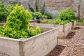 Raised Bed Vegetable & Flower Garden Royalty Free Stock Photo