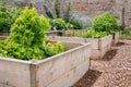 Raised Bed Vegetable & Flower Garden