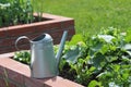 Raised beds gardening in an urban garden growing plants herbs spices berries and vegetables Royalty Free Stock Photo