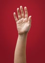 Raised Female Hand Wearing Ring Royalty Free Stock Photo