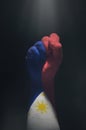 Raised fist painted in Philippine Flag. Showing strong and love for the country.