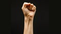 Raised fist shows the power of unity and determination AIG535