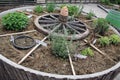 Raised garden bed with herbs Royalty Free Stock Photo