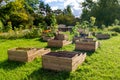 raised garden beds made in wooden boxes on farm