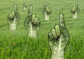 Raised Green Pointing Hands in Grass Field