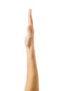 Raised hand voting or reaching. Woman hand gesturing isolated on white