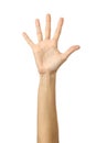 Raised hand voting or reaching. Woman hand gesturing on white