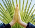 Raised hands pose (anjali mudra) Royalty Free Stock Photo