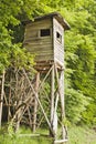 raised hide in the forest Royalty Free Stock Photo