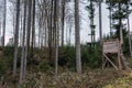 Raised hide in the middle of the forest