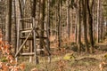 Raised hide in the middle of the forest