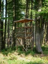 Raised hide - raised blind in autumn light