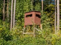 Raised hide in the wood Royalty Free Stock Photo