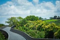 Raised shared path curving through lush green park towards Orakei Basin. Beautiful summer day in Auckland, New Zealand