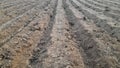 Raised soil plots for planting cassava, preparing soil for agriculture