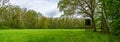 Raised stand in a natural green forest in Germany Royalty Free Stock Photo