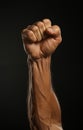 Raised strong veined clenched fist black background
