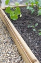 Raised vegetable bed Royalty Free Stock Photo