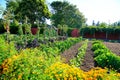 Raised vegetable beds in Kitchen garden