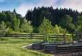 Raised vegetable beds in the spring natural garden with orchard