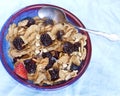 Raisin bran breakfast cereal with blackberries blueberries strawberries Royalty Free Stock Photo