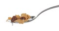 Raisin Bran Cereal in spoon