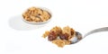 Raisin Bran Cereal in spoon Royalty Free Stock Photo