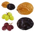 Raisin, dried grape. 3d realistic vector icon set Royalty Free Stock Photo