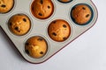 Raisin muffins in a oven tray, close-up Royalty Free Stock Photo