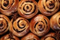 Raisin Roll, Snail Raisin Pastry, Sweet Cinnamon Bun, Danish Bakery, Swirl Pastries, Many Christmas Royalty Free Stock Photo