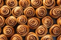 Raisin Roll, Snail Raisin Pastry, Sweet Cinnamon Bun, Danish Bakery, Swirl Pastries, Many Christmas Royalty Free Stock Photo