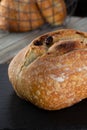 Raisin sourdough boule loaf