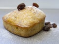 Raisin sultana cake